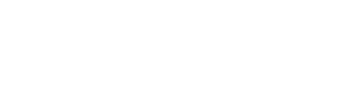 Fibbler